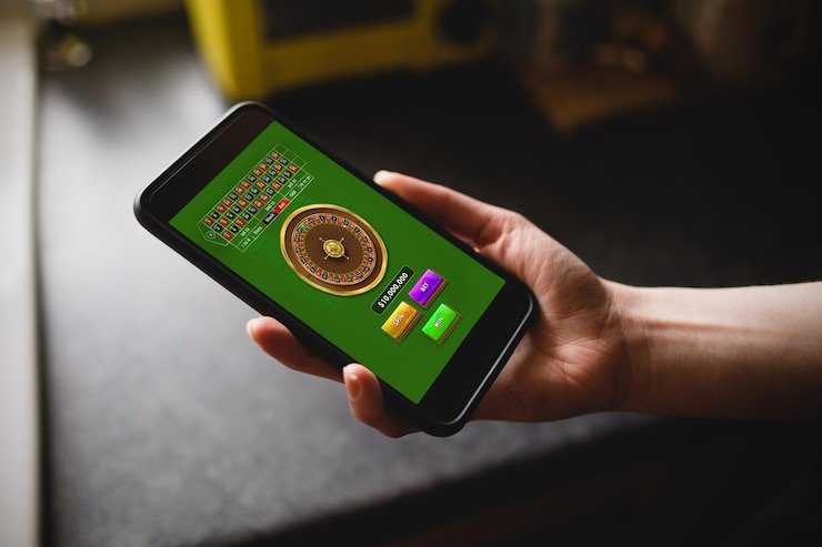 European Roulette Game